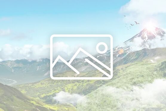 Is the higher the heavy shelf column, the better?